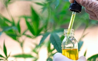 9 zdravstvenih prednosti CBD ulja — i nuspojave