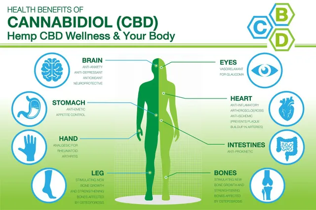 Top 5 zdravstvenih prednosti CBD ulja — i pogled na nuspojave