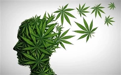 Kako koristiti CBD ulje za optimalne prednosti: Potpuni vodič?